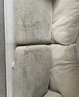 Professional Expert in Deep Upholstery Cleaning Services