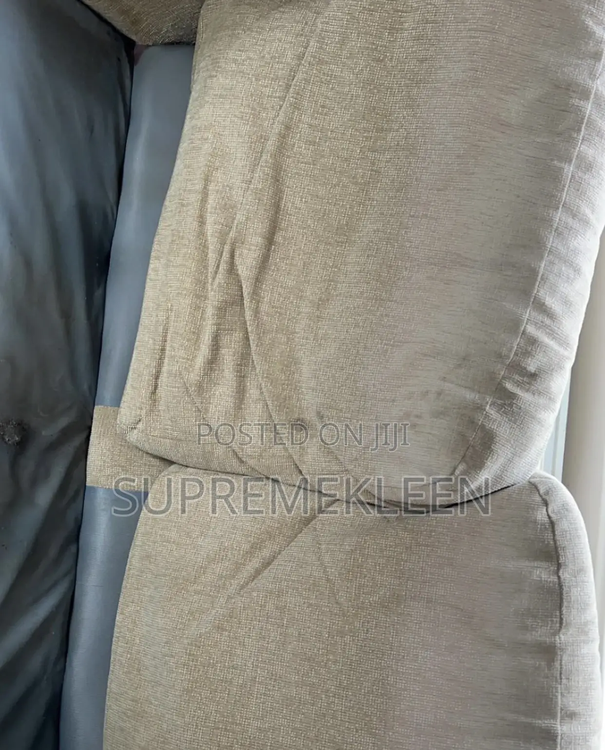 Professional Expert in Deep Upholstery Cleaning Services