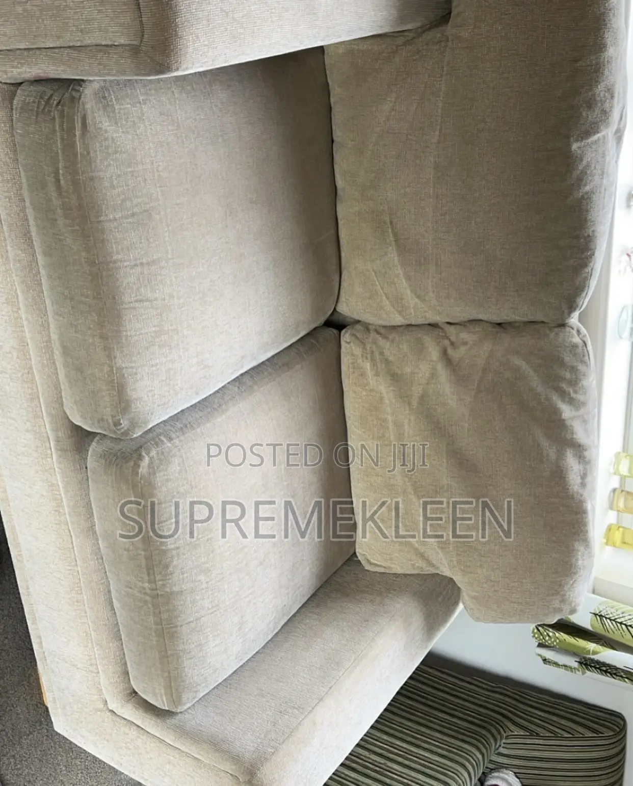Professional Expert in Deep Upholstery Cleaning Services