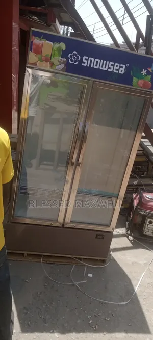 Double Door Chiller Snowsea
