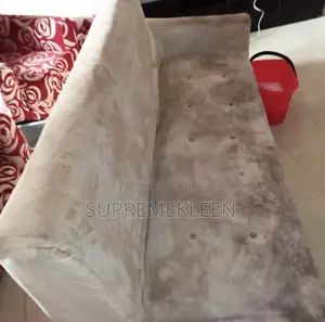 Sofa Couch Cleaning Before and After