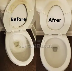 Toilet Cleaning Service
