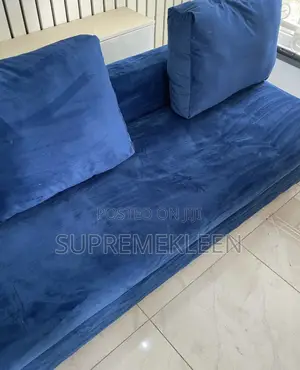 Upholstery Expert Deep Cleaning House Cleaning Services