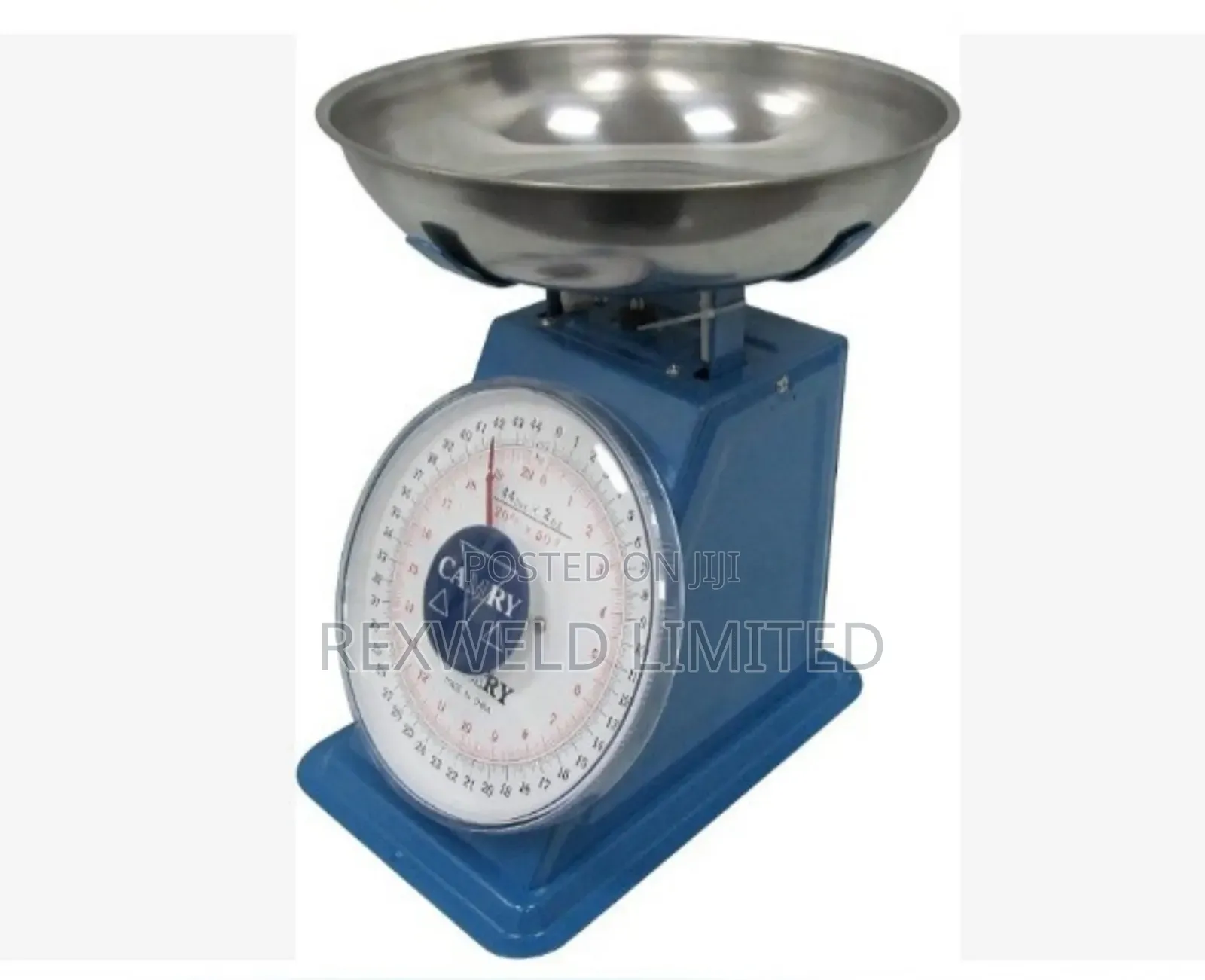 Dial Spring Scale