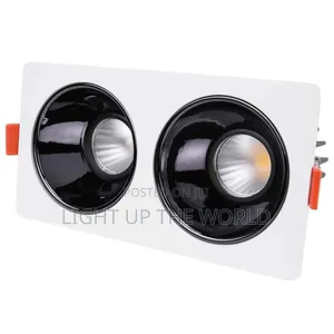 2in1 Spot Light