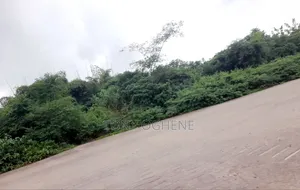 Photo - C of O Lands for Sale Along Opobor Road Apa, Ogbor Hill, Aba