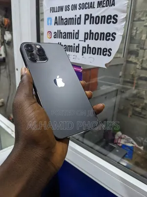 Apple iPhone 12 Pro Max 128 GB Gray