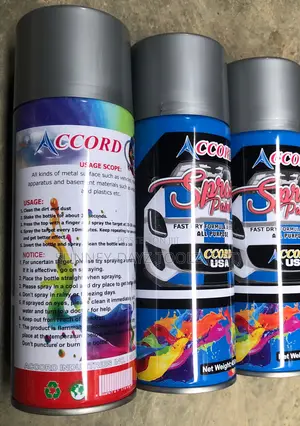 Accord Spray Paint