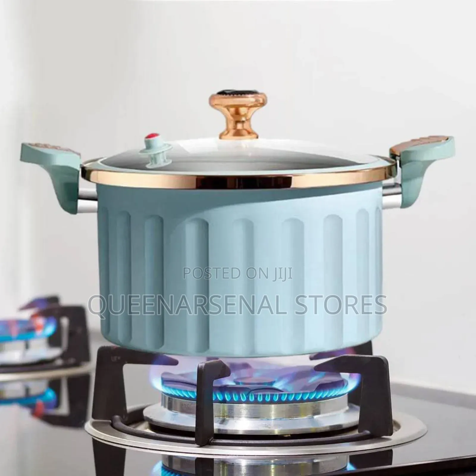 28cm Roman Micro Pressure Pot