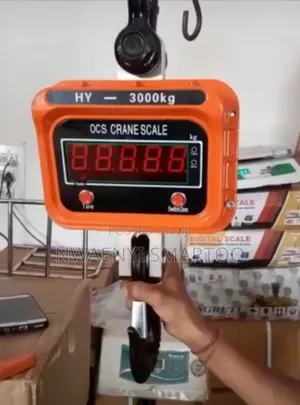 30ton Crane Scale