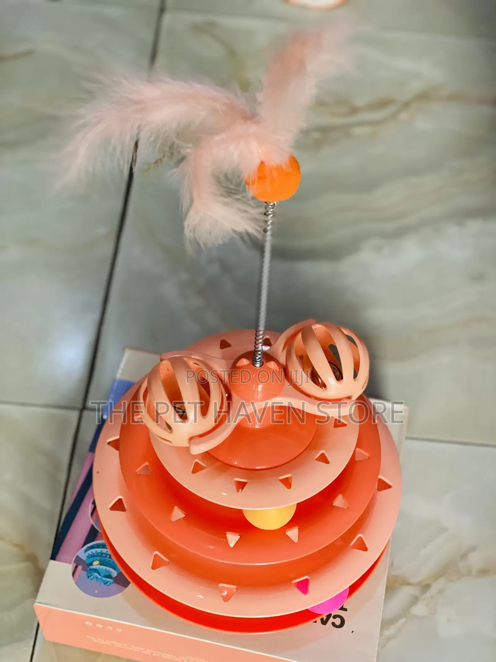 Cat Playing Toy