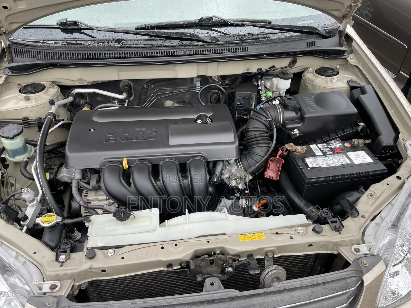 Toyota Corolla LE 2004 Gold