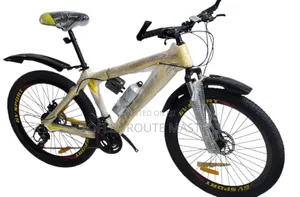 Adults Bicycle