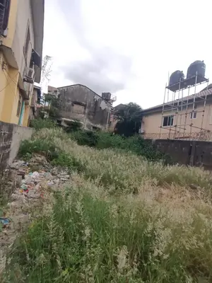 Half a Plot With Cofo at Magodo Phase 1 Gra