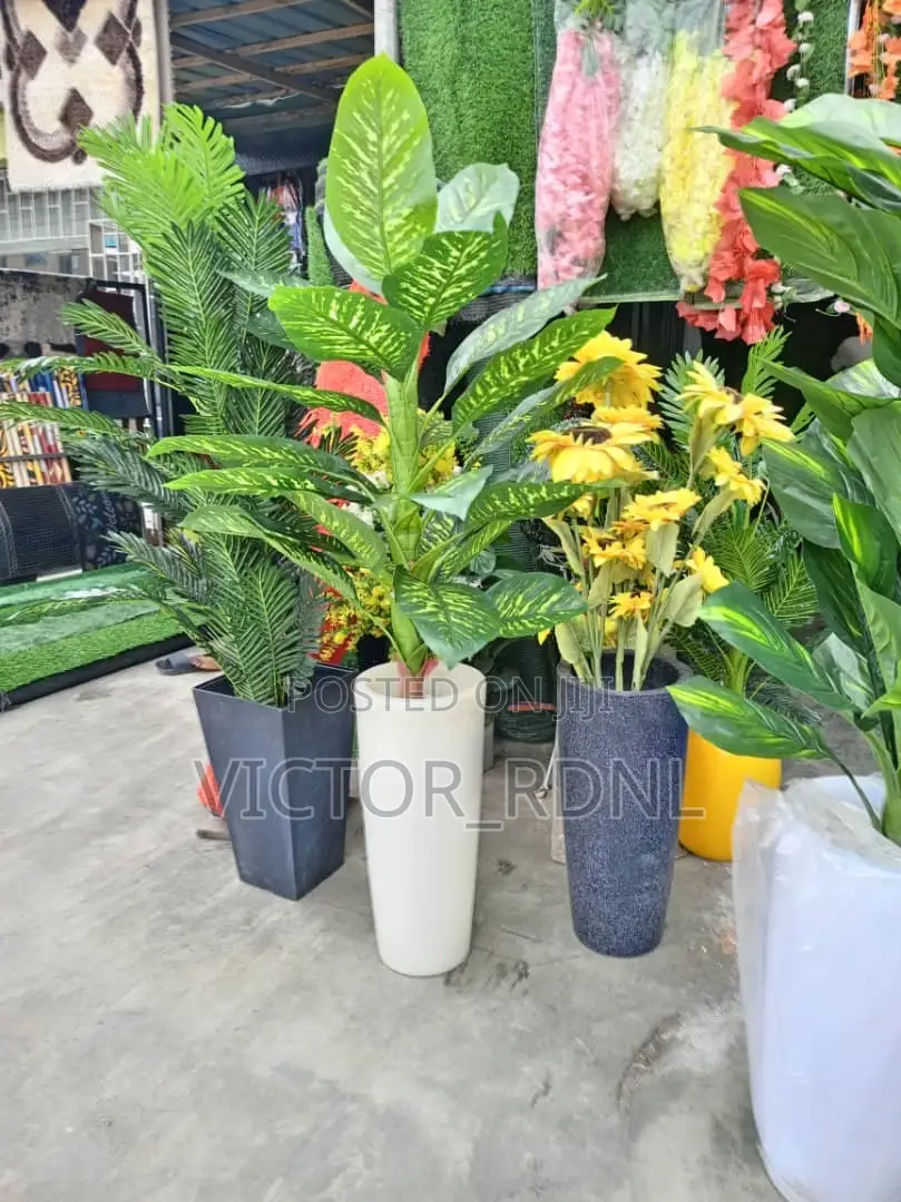 Flower Pots