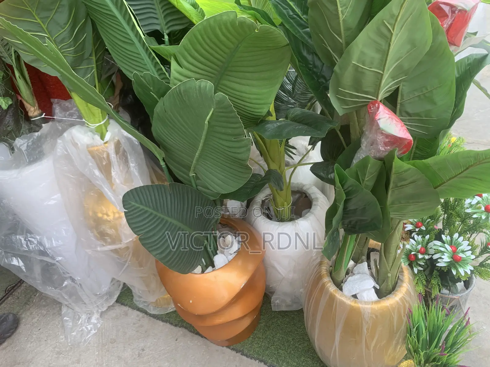 Flower Pots