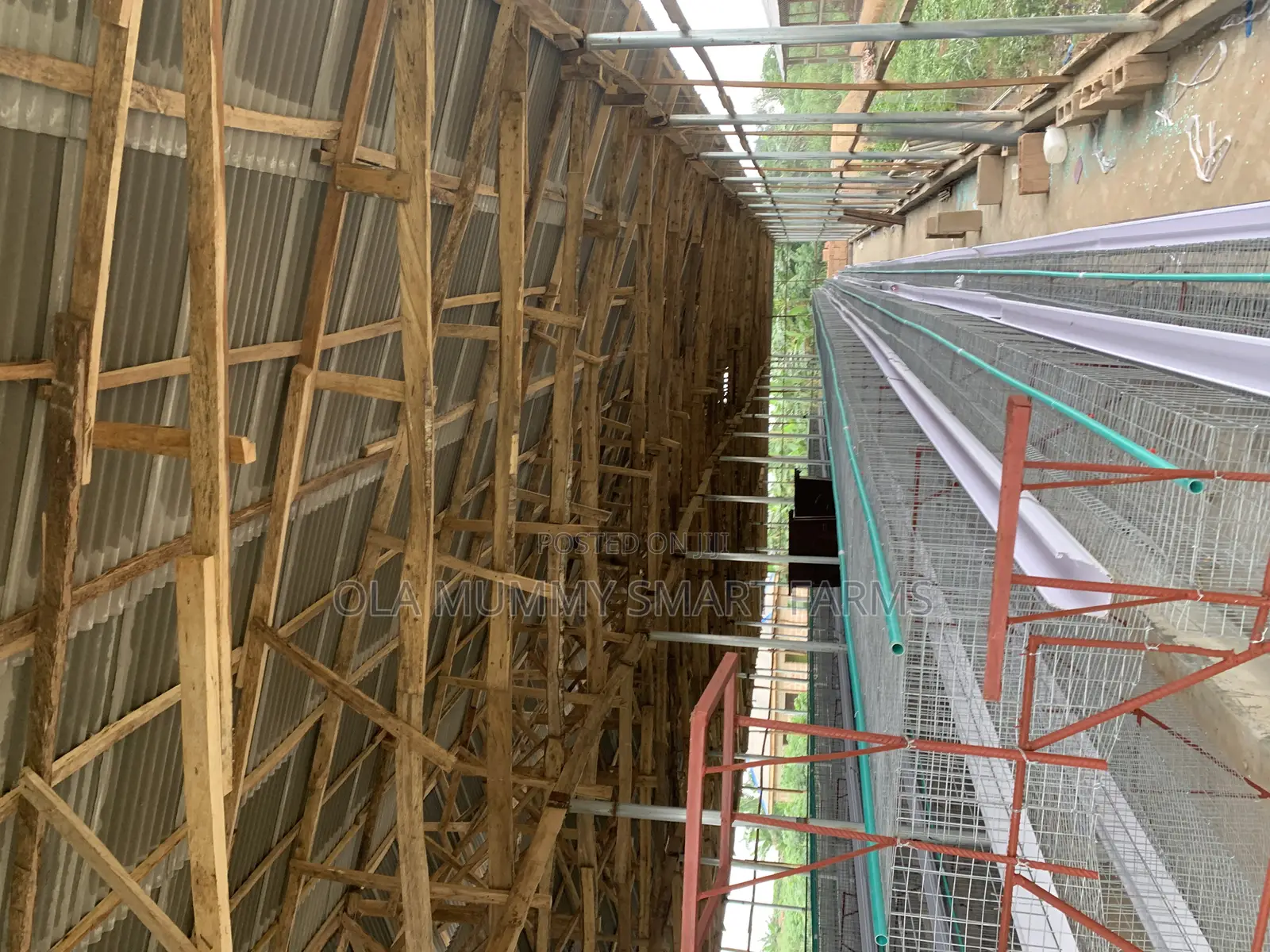 Battery Cage
