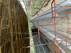Battery Cage