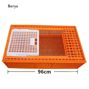 Indian Big Size Transport Crate/Transfer Crate for All Chickens