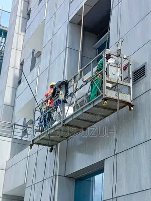 Electric Cradle