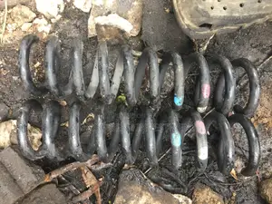Back Spring Glk