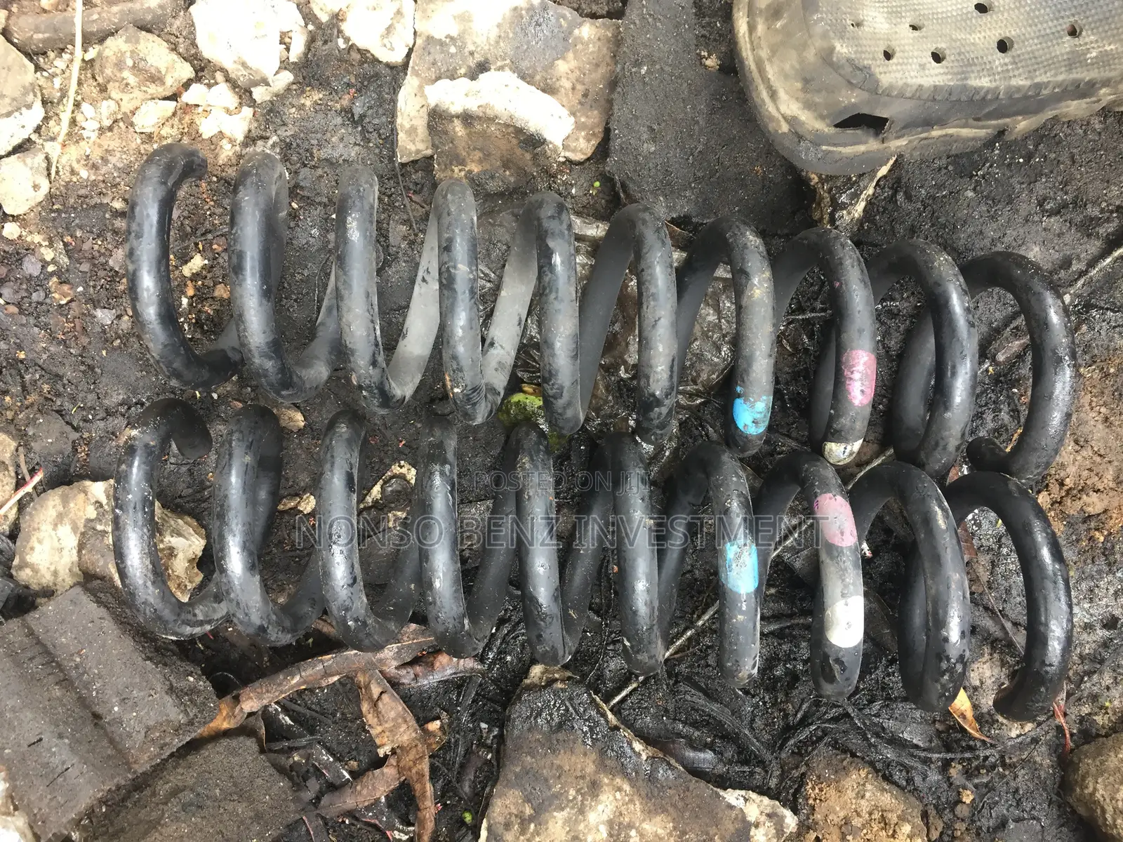 Back Spring Glk
