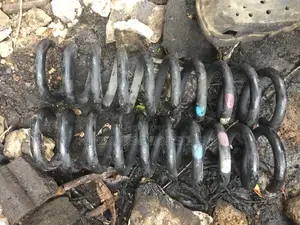Back Spring Glk