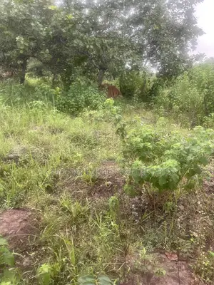 1 Plot Behind Lautech Campus