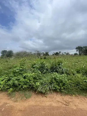 200 Acres Acres at Ipapo, Itesiwaju Lga