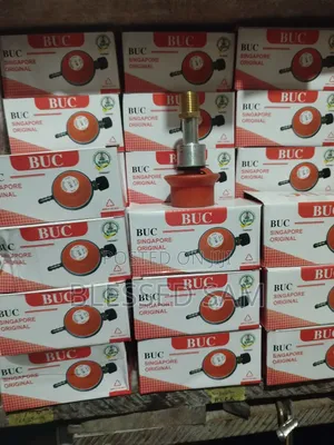 Low Pressure Gas Regulator
