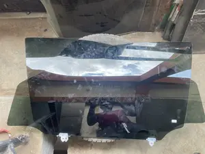 Tinted Front Door Glass Rx350 2010 Model