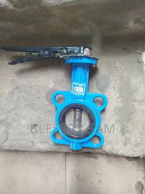 Butterfly Flange Valve