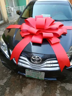 Photo - Giant Car Bow
