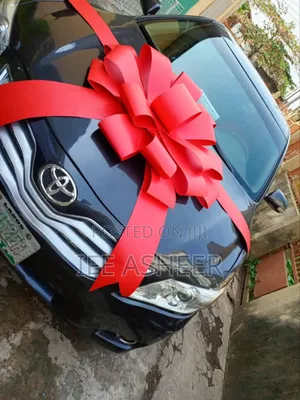 Photo - Small Size Car Bow