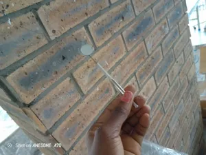 Dental Mirror