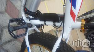 Automatic Bicycle With Big Tyer
