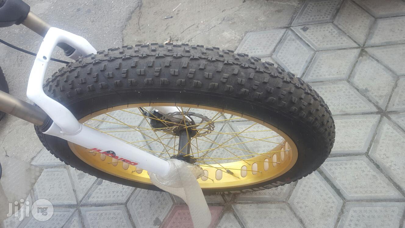 Automatic Bicycle With Big Tyer