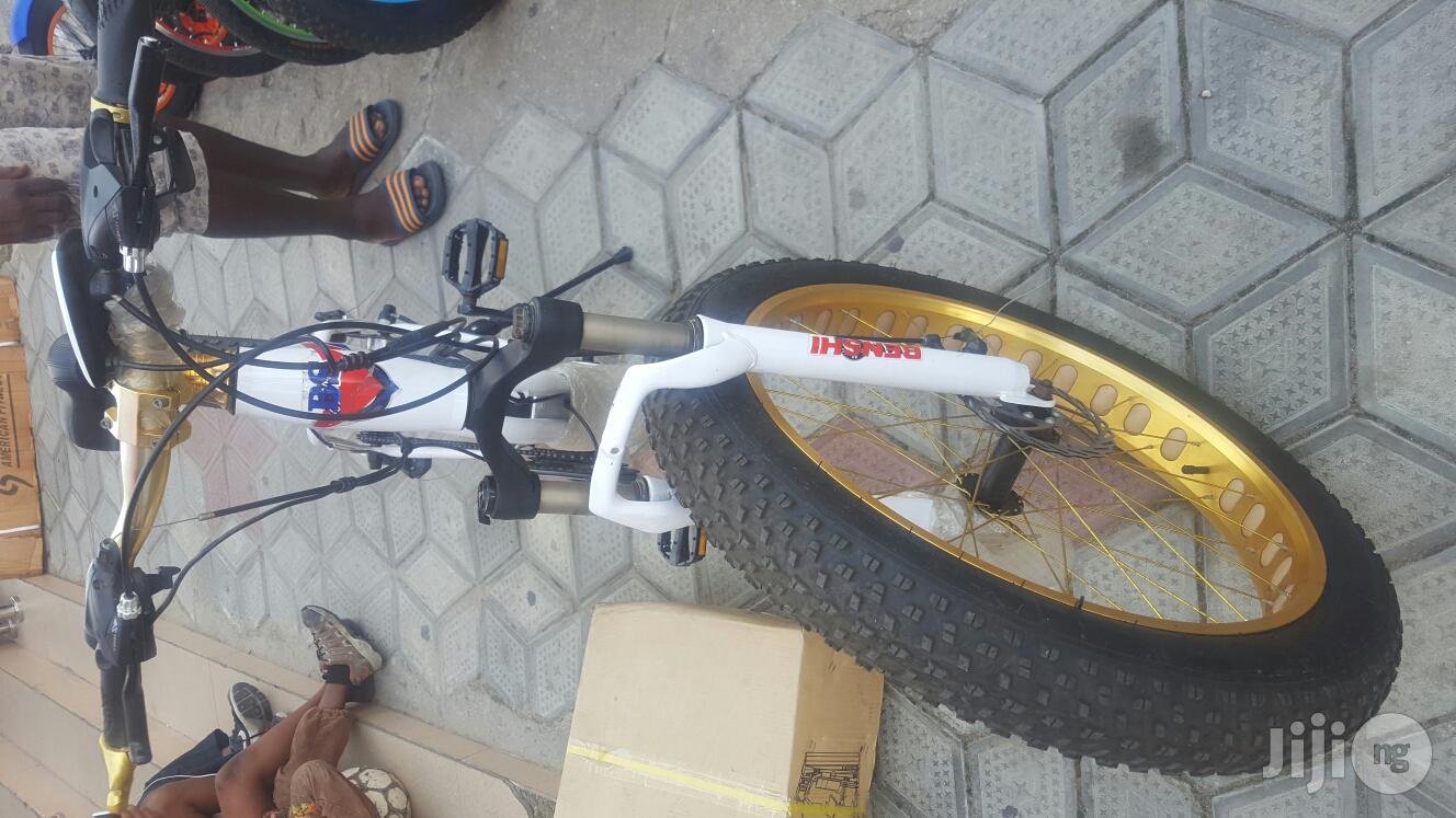 Automatic Bicycle With Big Tyer