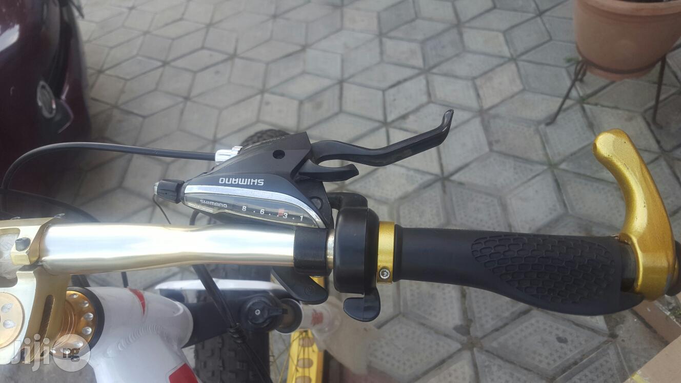 Automatic Bicycle With Big Tyer