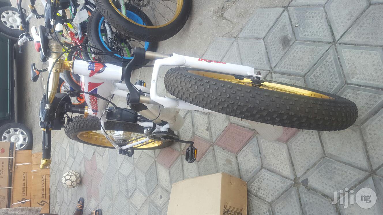 Automatic Bicycle With Big Tyer
