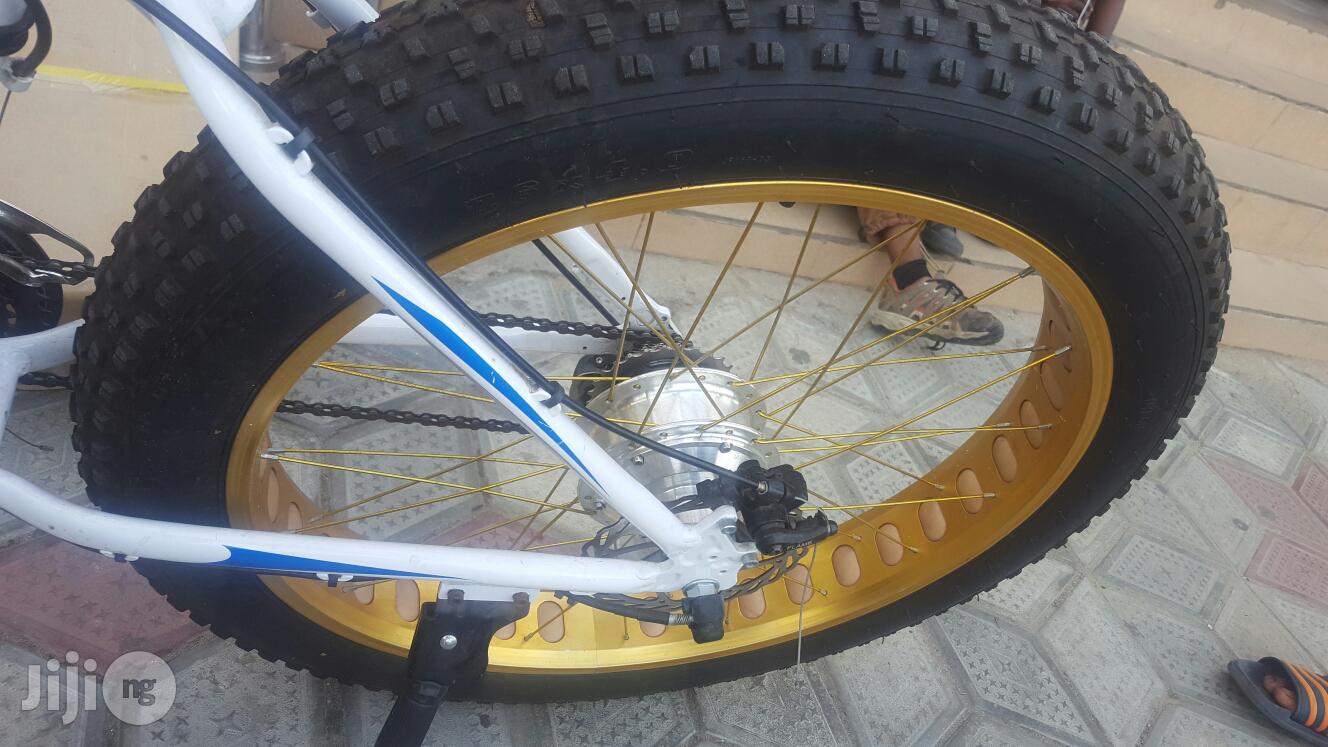 Automatic Bicycle With Big Tyer