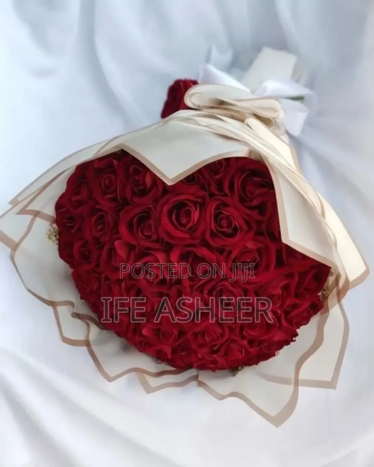 Plenty Scented Rose Flowers - Red