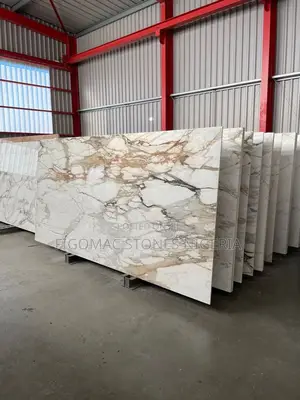 Golden Carara White