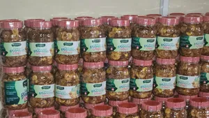 Plantain Chips