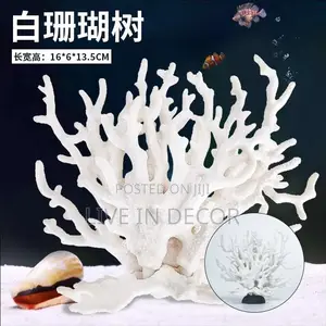 Coral Decor