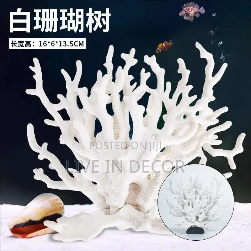 Coral Decor
