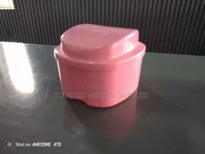 Apple Shape Denture Bath Box Case