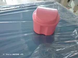 Dental Apple Shape False Teeth Storage Box