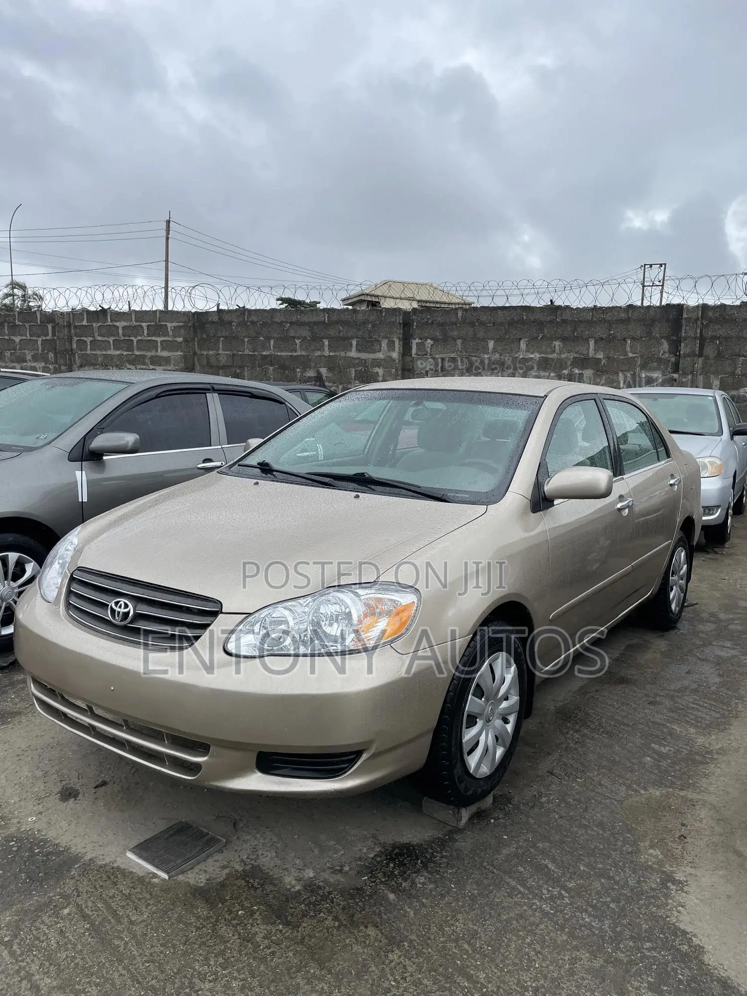 Toyota Corolla LE 2004 Gold
