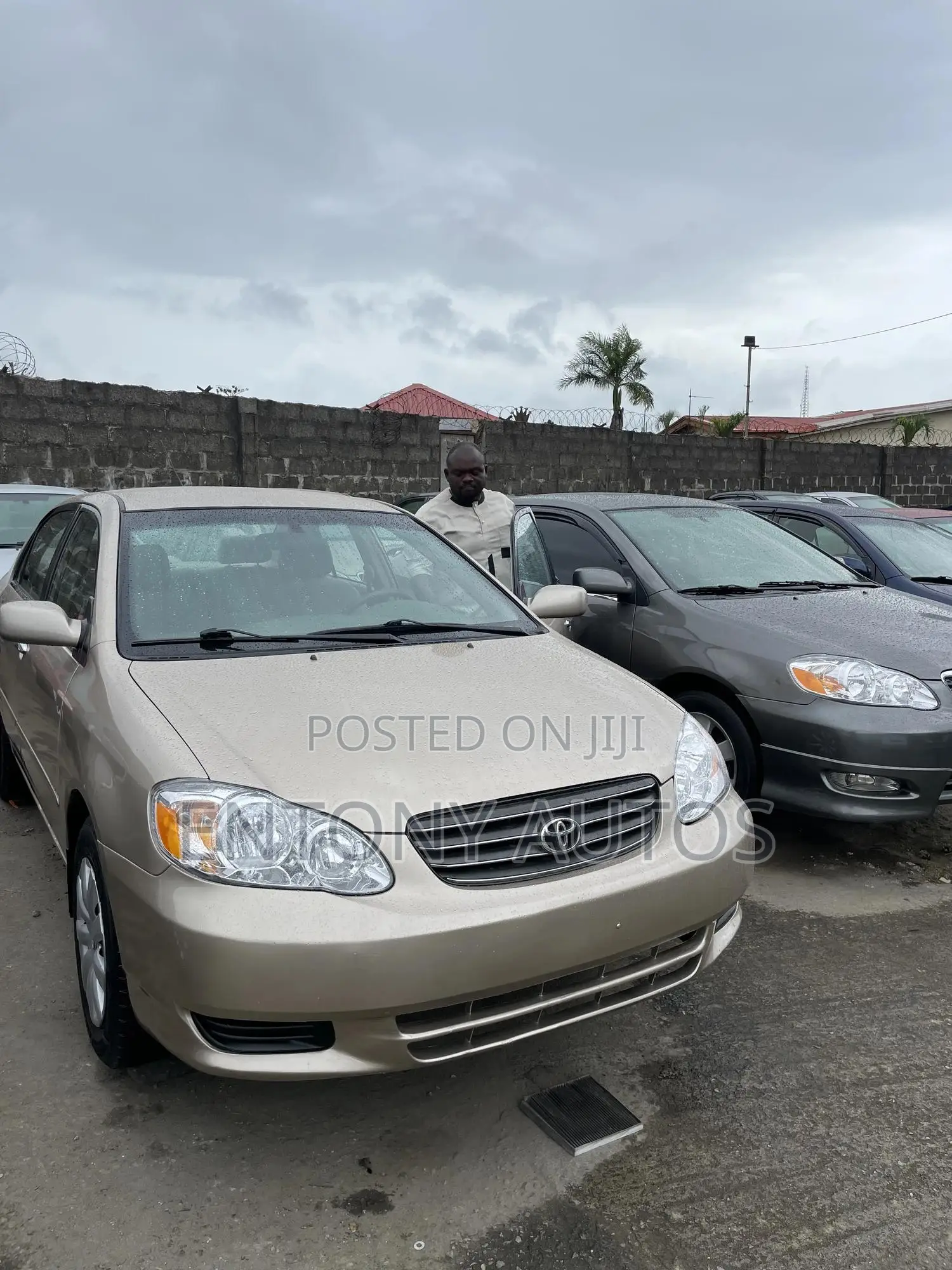 Toyota Corolla LE 2004 Gold